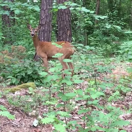 Karineeme House Casa de Férias
