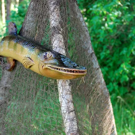 Karineeme House Mahu