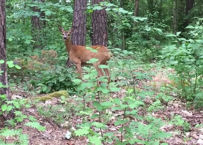 Karineeme Holiday House Semesterbostad