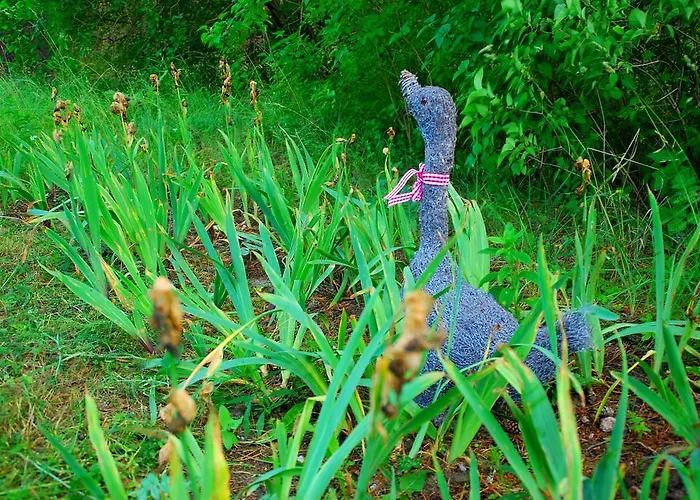 Vakantiehuis Karineeme House Mahu