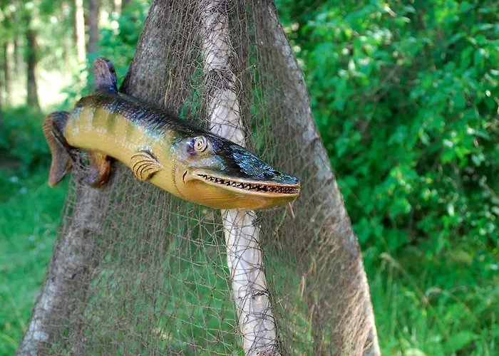 Karineeme House Mahu