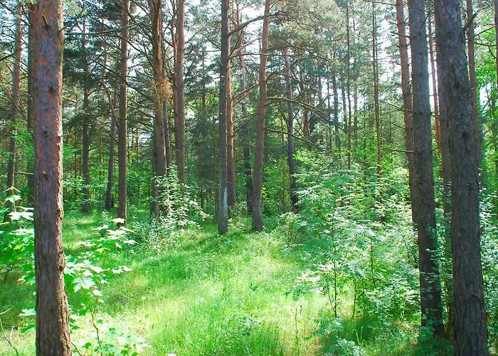 Karineeme House Vakantiehuis Mahu