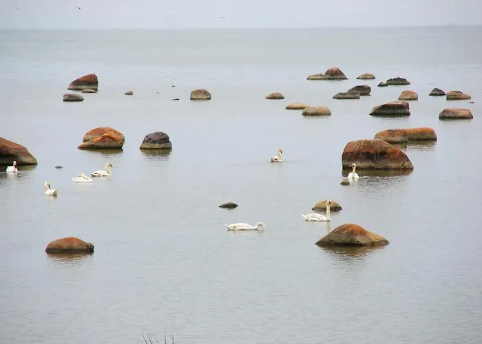 Vakantiehuis Karineeme House